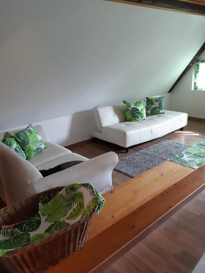 Oberhausen  Weingut Und Gaestehaus Vongerichten מראה חיצוני תמונה