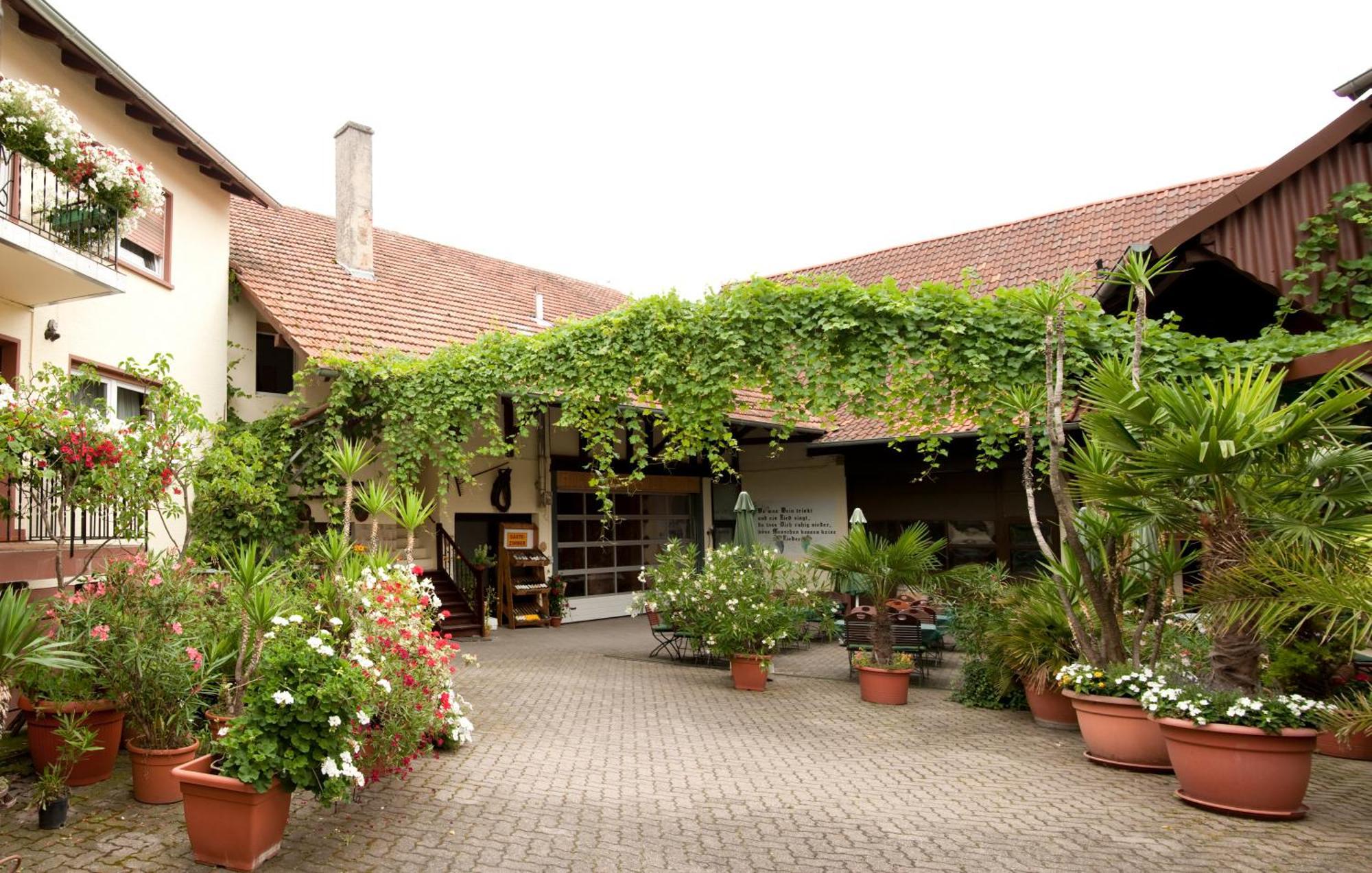 Oberhausen  Weingut Und Gaestehaus Vongerichten מראה חיצוני תמונה